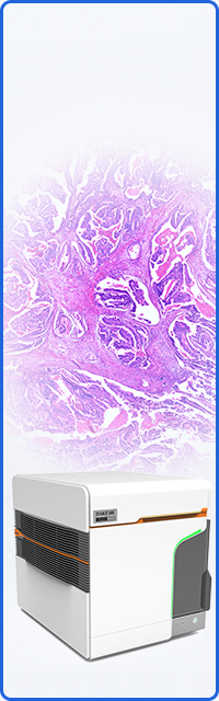Digital Pathology