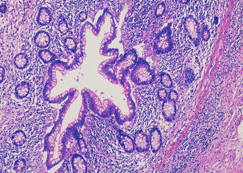 Histological Staining Reagents