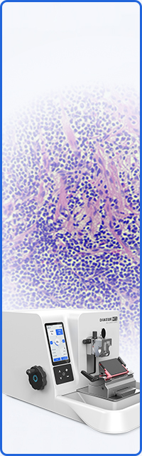 Histology
